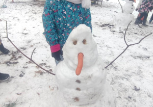 Pierwszy śnieg u Lisków