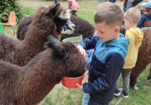 Głaszczemy i karmimy zwierzątko