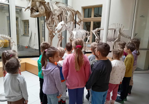 Na zdjęciu grupa dzieci ogląda duże szkielety zwierząt w Muzeum Przyrodniczym. Przedszkolaki z zaciekawieniem przyglądają się eksponatom, poznając budowę ciała i ciekawostki ze świata przyrody.
