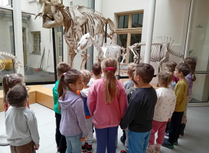 Wizyta najstarszej grupy w Muzeum Przyrodniczym w Łodzi