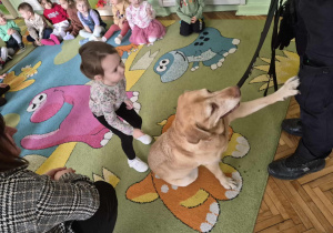 Dziewczynka z uśmiechem obserwuje, jak wyszkolony pies podaje łapę swojemu opiekunowi, a pozostałe dzieci z zainteresowaniem przyglądają się pokazowi