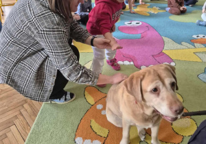 Dziecko pod opieką nauczycielki delikatnie głaszcze spokojnego psa, a pozostałe przedszkolaki z zainteresowaniem obserwują to spotkanie, ucząc się właściwego kontaktu ze zwierzęciem.